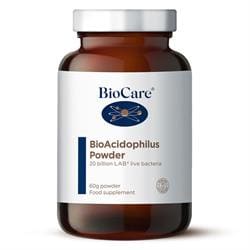 BioAcidophilus Powder (20 billion) 60g