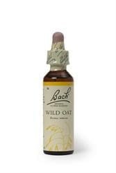 Wild Oat 20ml