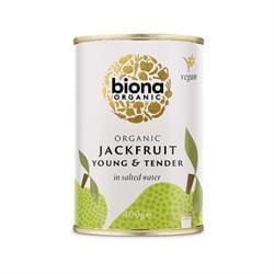 Organic Young Jackfruit in Salted Water 400g