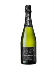 Sparkling White Wine - Vallformosa Organic Cava Spain 75cl