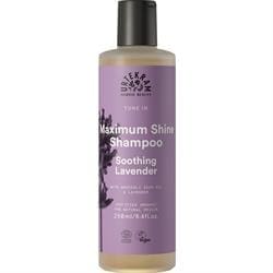 Soothing Lavender Shampoo Normal Hair 250ml