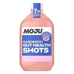 Raspberry Gut Health Dosing Bottle 420ml (formerly Prebiotic)