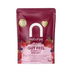 Naturya Gut Feel Flaxseed Blend Mixed Berry 240g