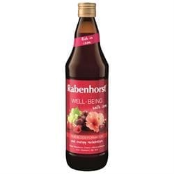 Rabenhorst Well-Being with Iron 750ml