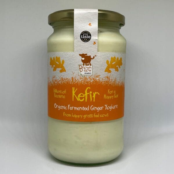 Organic Ginger Kefir Fermented Yoghurt 450g