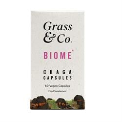 BIOME Chaga Mushrooms with Curcumin + Ginger 60 Vegan Capsules