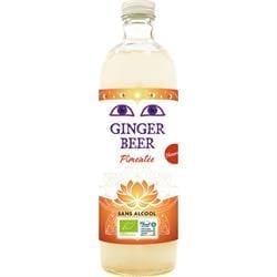 Ginger Beer Spicy 350ml