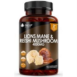 Lions Mane & Reishi Mushroom 120 Vegan Capsules