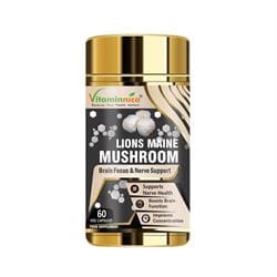 Lions Maine Mushroom 500mg 60 capsules