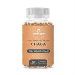 Chaga Mushroom Extract Capsules - Premium Quality - 120 Capsules