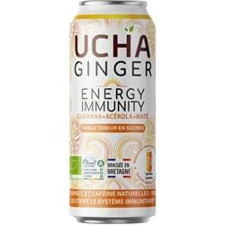 Ucha Ginger Beer Energy Immunity 330ml