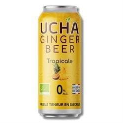 Ucha Ginger Beer Tropical 330ml