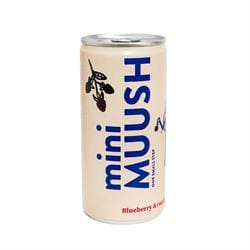 Blueberry and Raspberry Functional Soda 200ml
