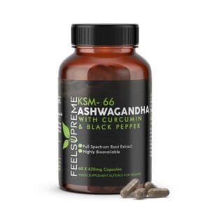 KSM66 Ashwagandha with Curcumin | 60 Capsules