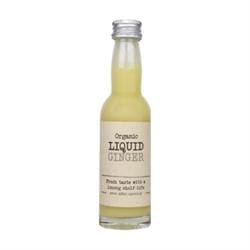 Ginger Organic Liquid Herbs - 40ml