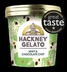 Mint & Chocolate Chips Gelato 100ml