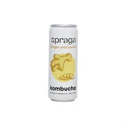 Raw & Organic Kombucha Lemon & Ginger 330ml - Pack of 6