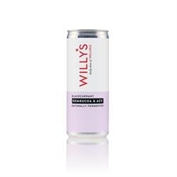 Willy's Blackcurrant Kombucha & ACV 250ml - Pack of 3